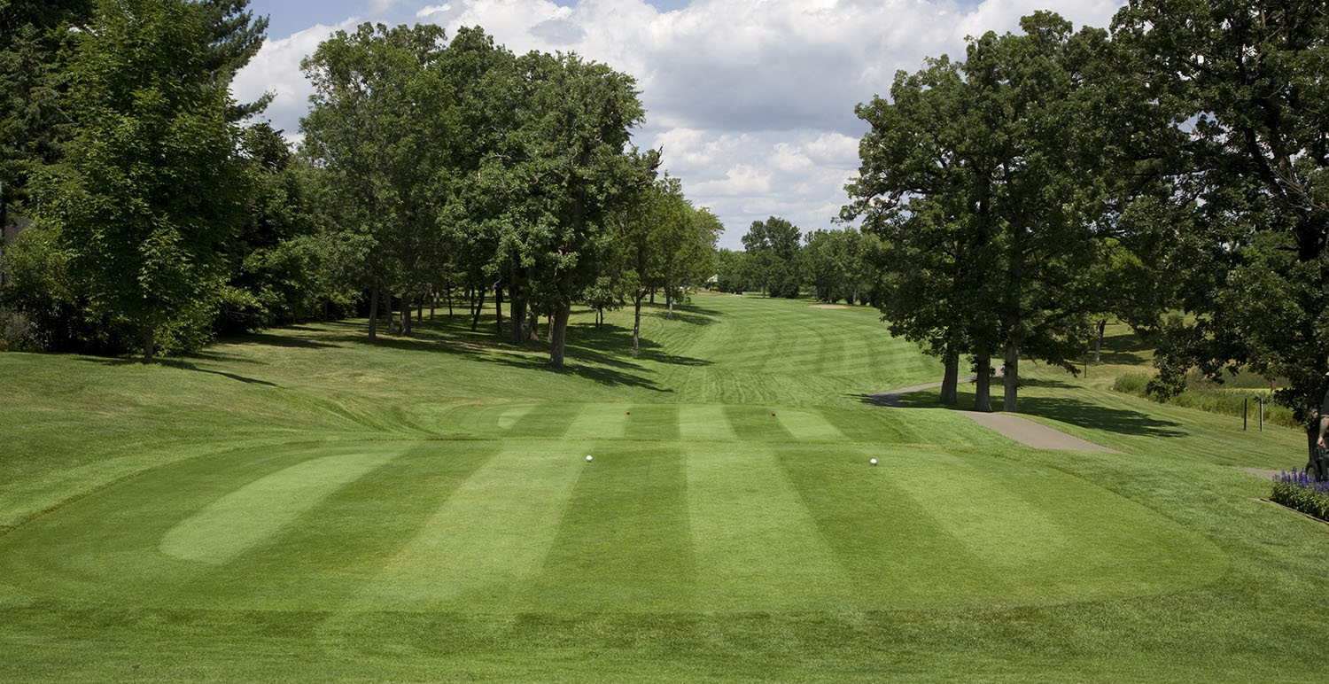 View of green grass in a golf fairway.